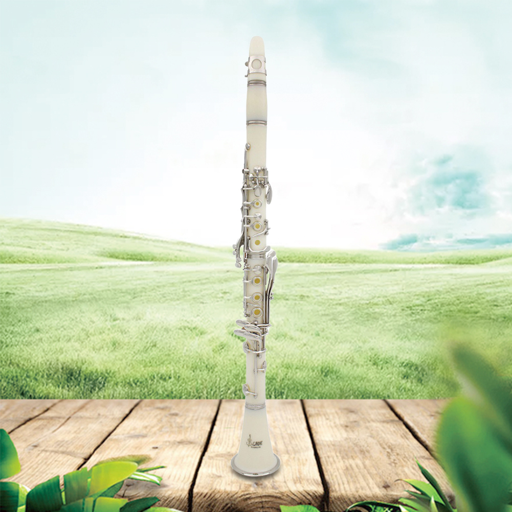 Musical Instrument Reed - คลาริเน็ต Bb 17 คีย์ พร้อมกล่อง ชุดคลาริเน็ตมืออาชีพ