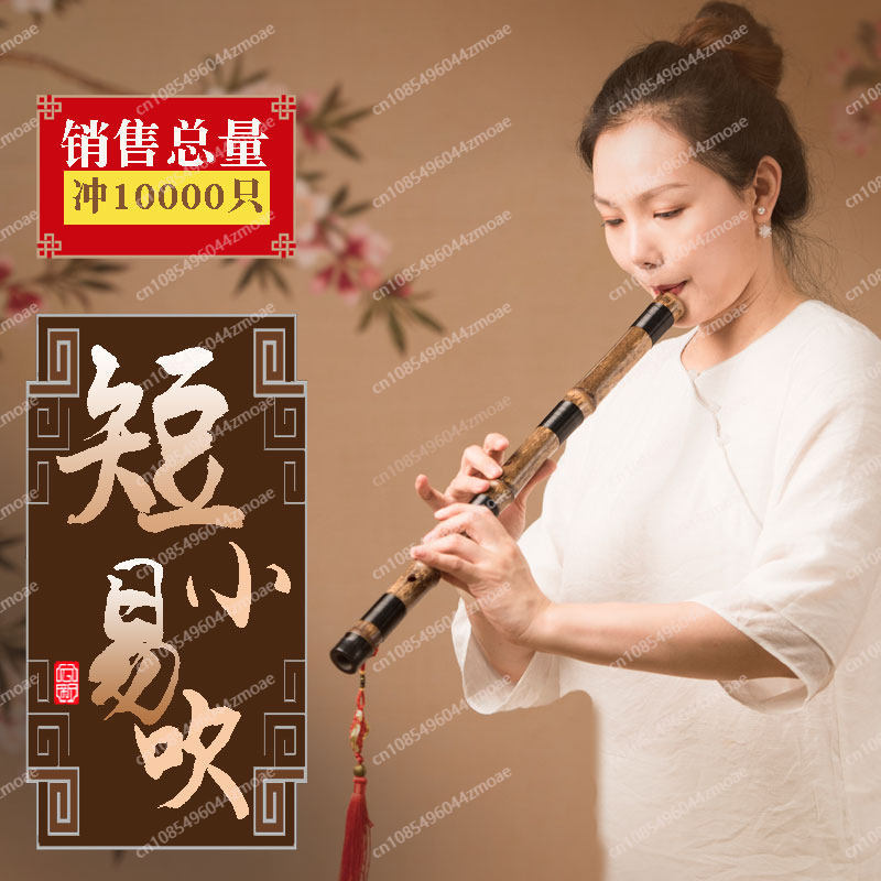 ขลุ่ยไม้ไผ่แบบมืออาชีพ ขลุ่ยเส - Musical Instrument That You Blow Into บทวิจารณ์และราคา