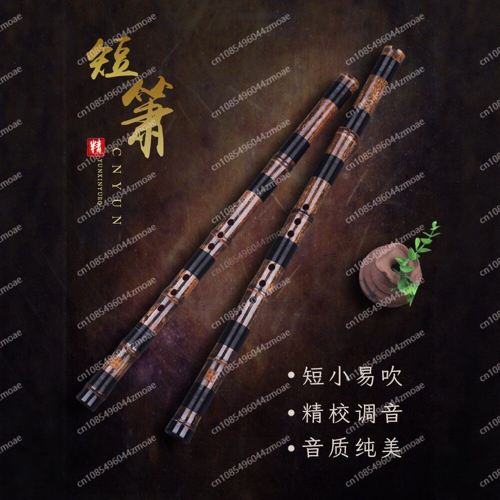 ขลุ่ยไม้ไผ่แบบมืออาชีพ ขลุ่ยเส - Musical Instrument That You Blow Into บทวิจารณ์และราคา