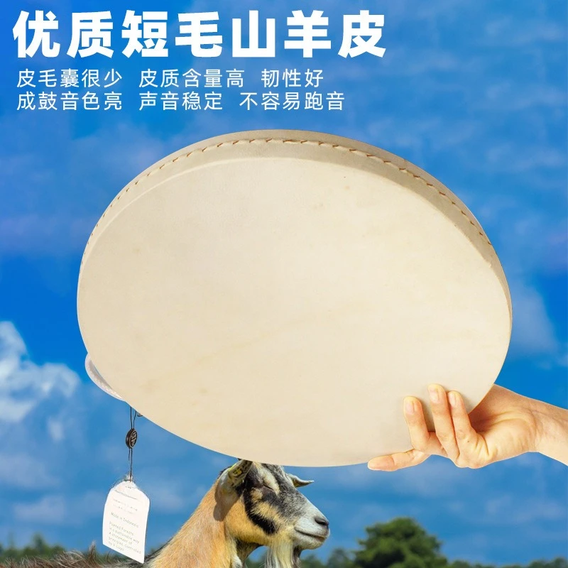 เครื่องดนตรีบำบัดด้วยเสียงคลื่ - Ocean Drum Wave บทวิจารณ์และราคา