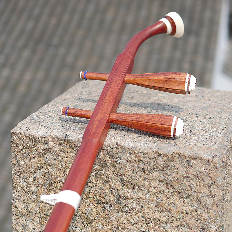 Professional Dunhuang ยี่ห้อ 0 - Musical Instrument Brands บทวิจารณ์และราคา
