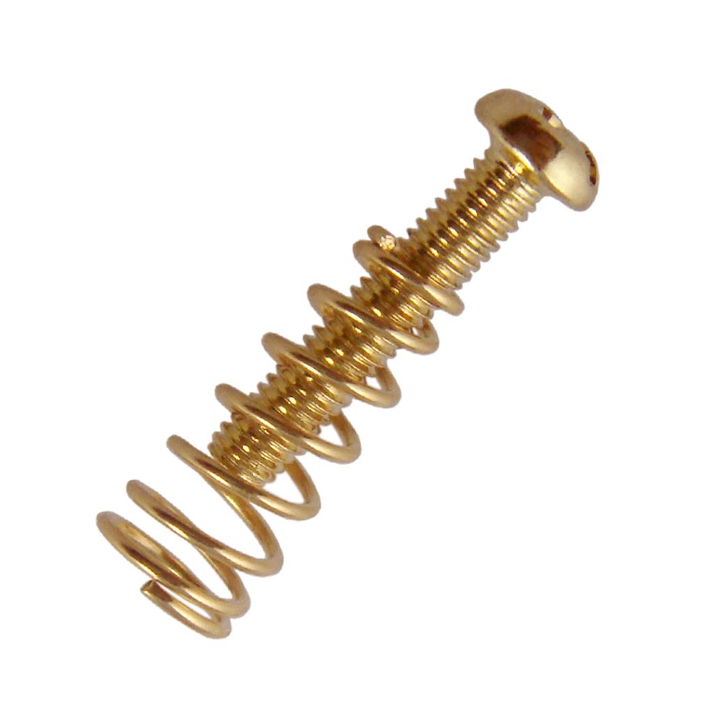 สกรูยึดสะพานสายกีตาร์ สปริงแบบ - Musical Instrument Repairs บทวิจารณ์และราคา