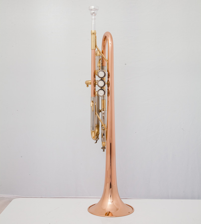 ทรัมเป็ต C มืออาชีพเครื่องดนตร - Musical Instrument Fagot บทวิจารณ์และราคา