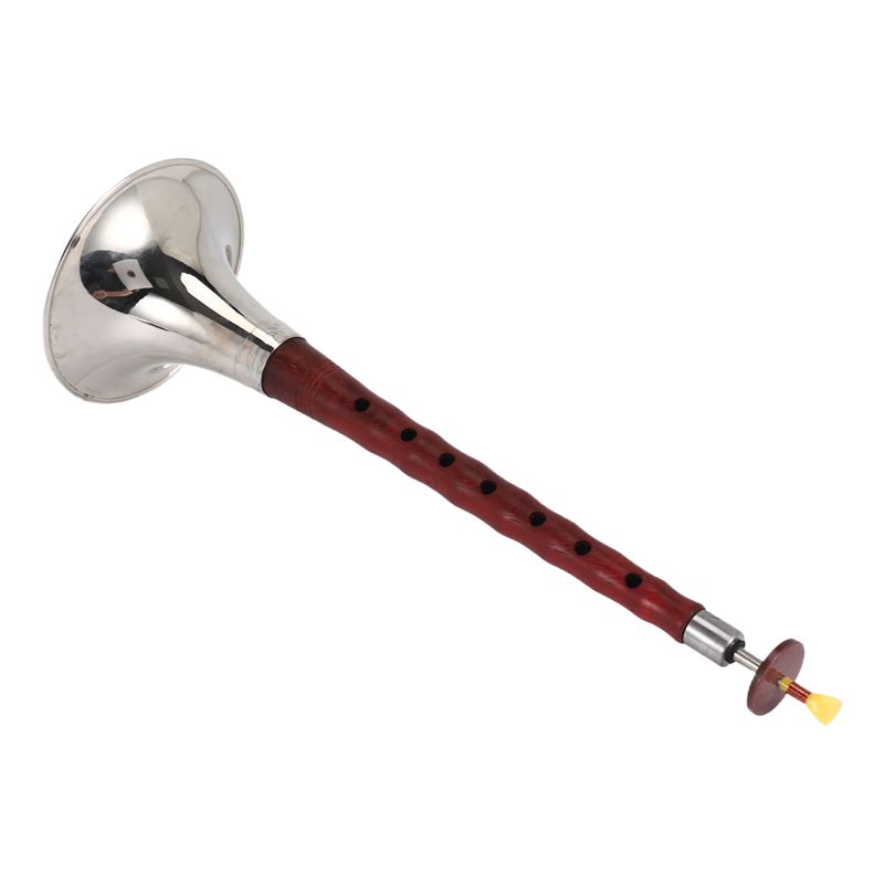 A12E-เครื่องดนตรีพื้นบ้านจีน ซ - Musical Instrument Zurna บทวิจารณ์และราคา